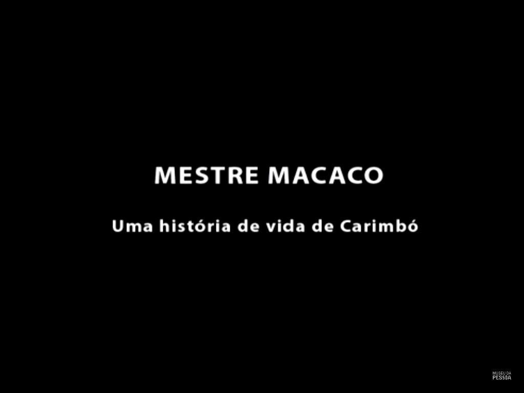 Macaco Mestre